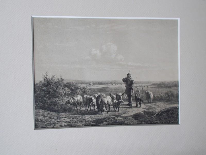 antique print (prent). - Herder met kudde schapen en hond.