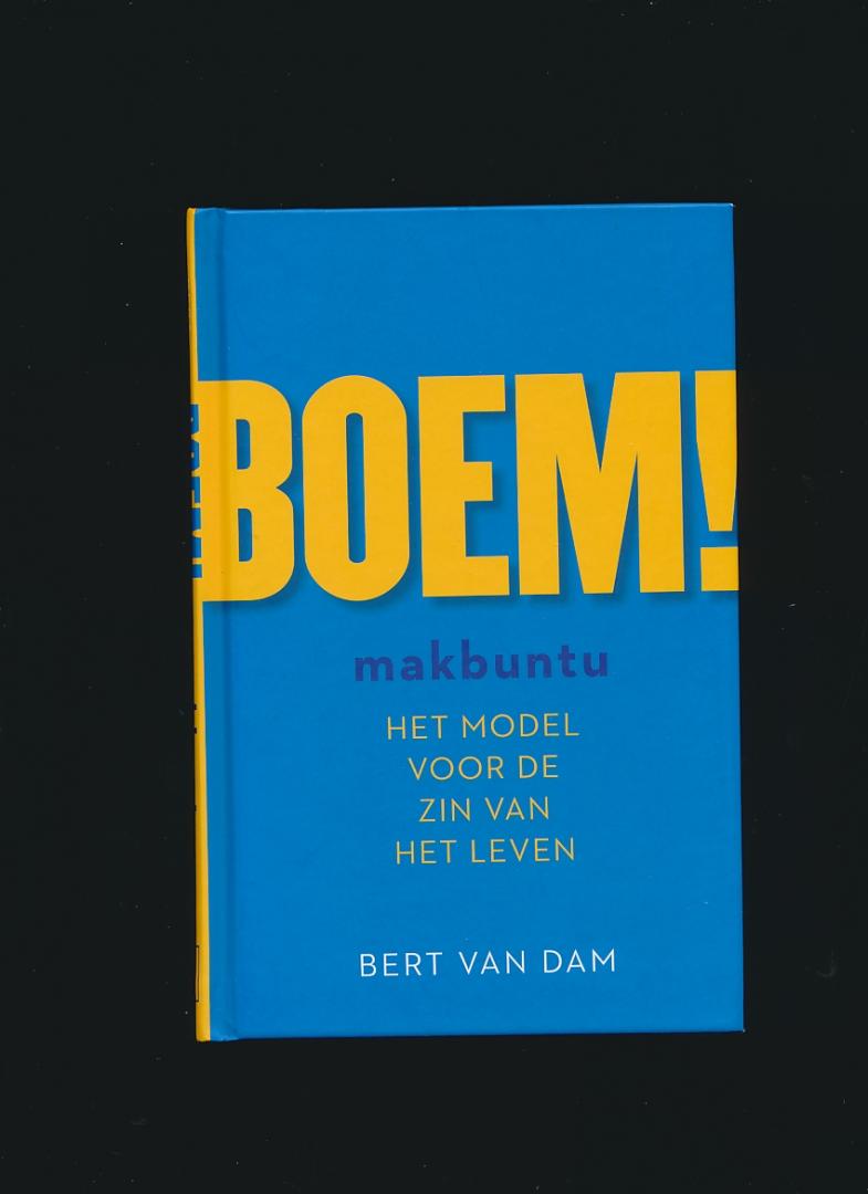 Bert van Dam - Boem! Het model voor de zin van het leven.