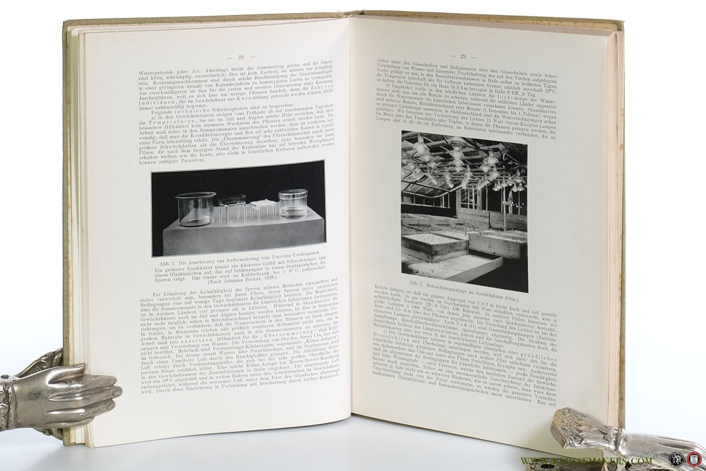 Roemer, Prof. Dr. Th. / Dr. W. H. Fuchs / Dr. K. Isenbeck. - Die Züchtung resistenter Rassen der Kulturpflanzen.