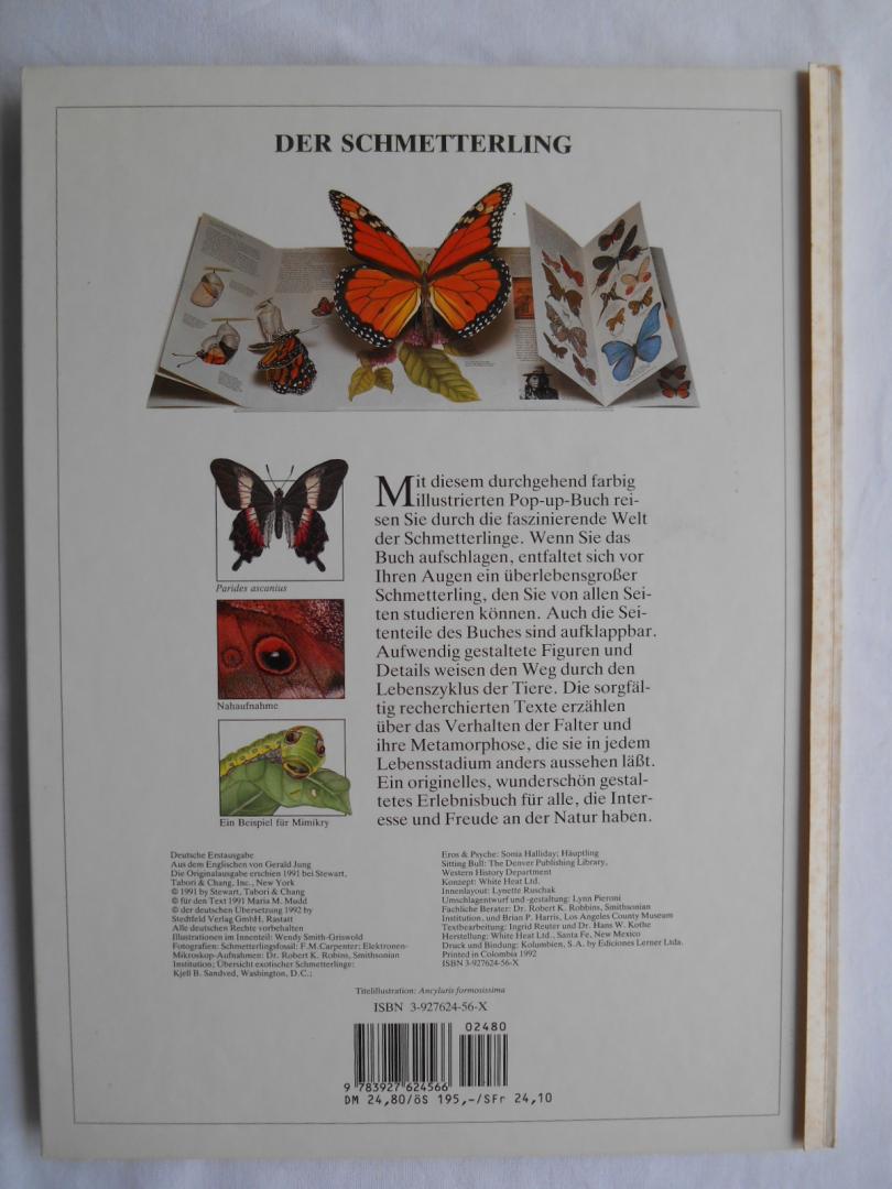 Maria M. Mudd - Der Schmetterling - Ein Pop-Up-Buch