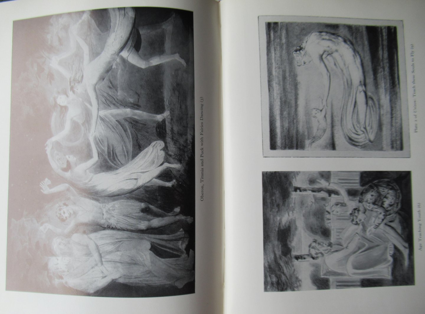 Butlin, Martin e.a. - William Blake. A catalogue of the works of William Blake in the Tate Gallery