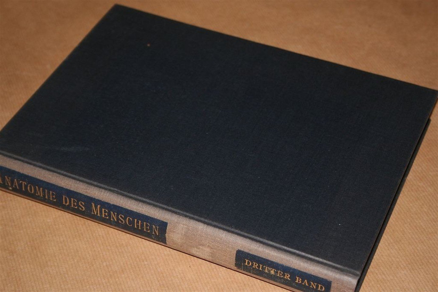 Werner Spalteholz - Handatlas der Anatomie des Menschen — Band 3. Eingeweide, Gehirn, Nerven, Sinnesorgane