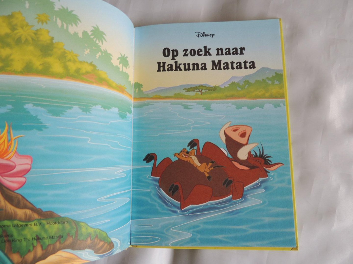 Tjibbe Veldkamp - Op zoek naar Hakuna Matata