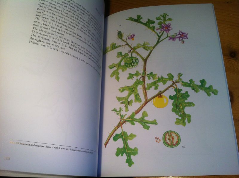 Pistoor, Silvester J - Wild Flowers of the Algarve - Vol 1: Shrubs and Trees