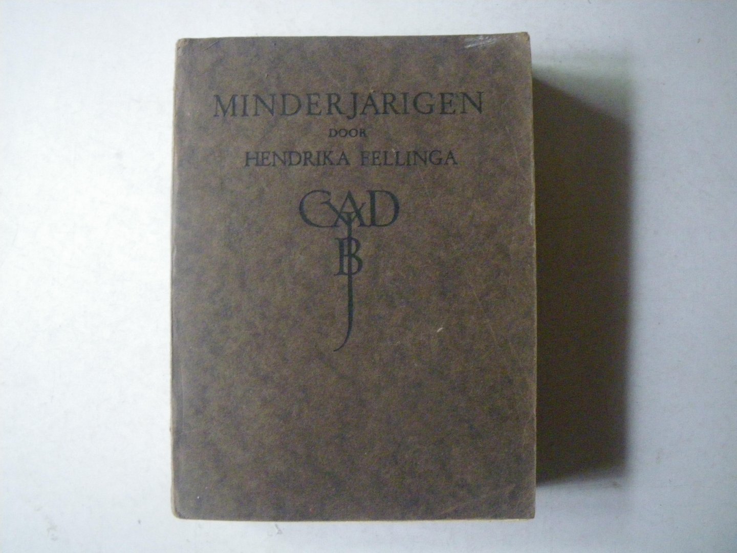 Hendrika Fellinga, - Minderjarigen