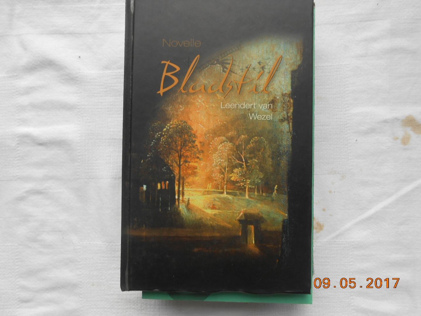 Leendert van Wezel - Bladstil
