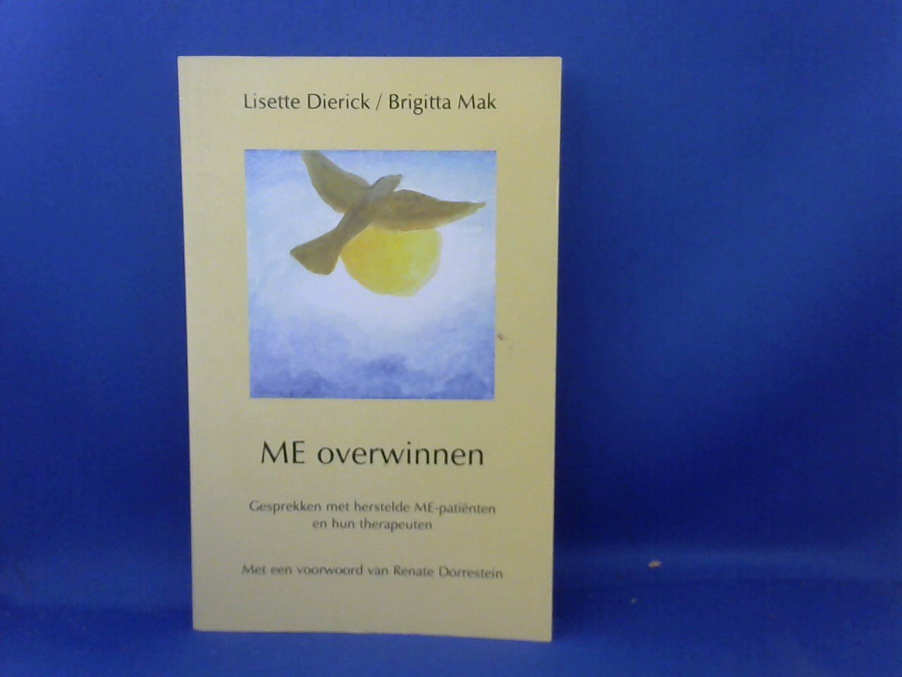 Dierick, Lisette / Mak, Brigitte - ME overwinnen. Gesprekken met herstelde ME-patienten en hun therapeuten