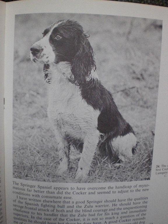 Jackson, Tony - The Complete Book of Gundogs in Britain