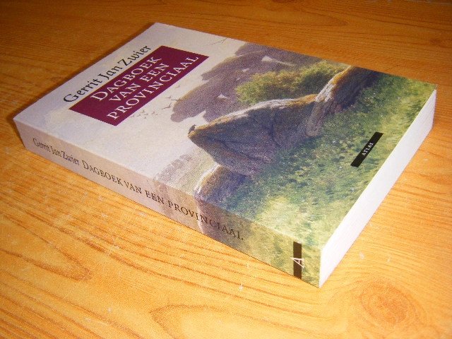 Gerrit Jan Zwier - Dagboek van een provinciaal 1991-1995