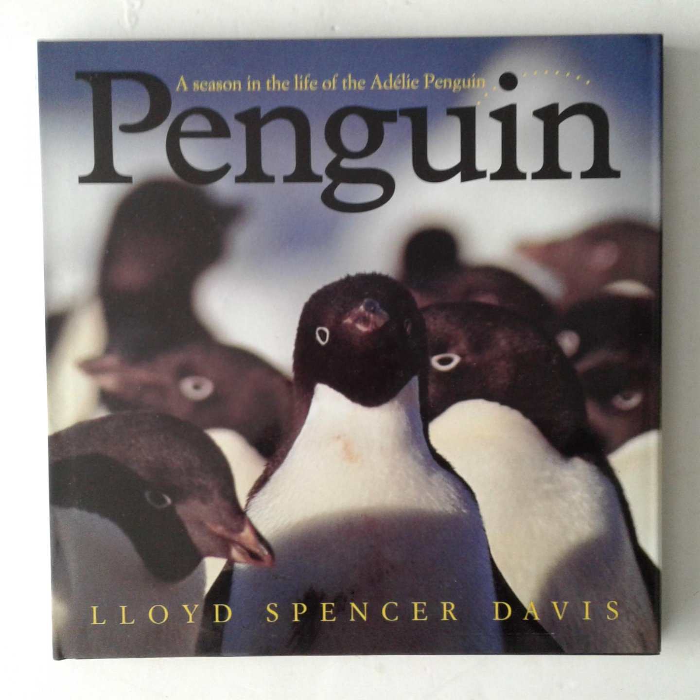 Davis, Lloyd Spencer - Penguin ; A Season in the Life of the Adélie Penguin