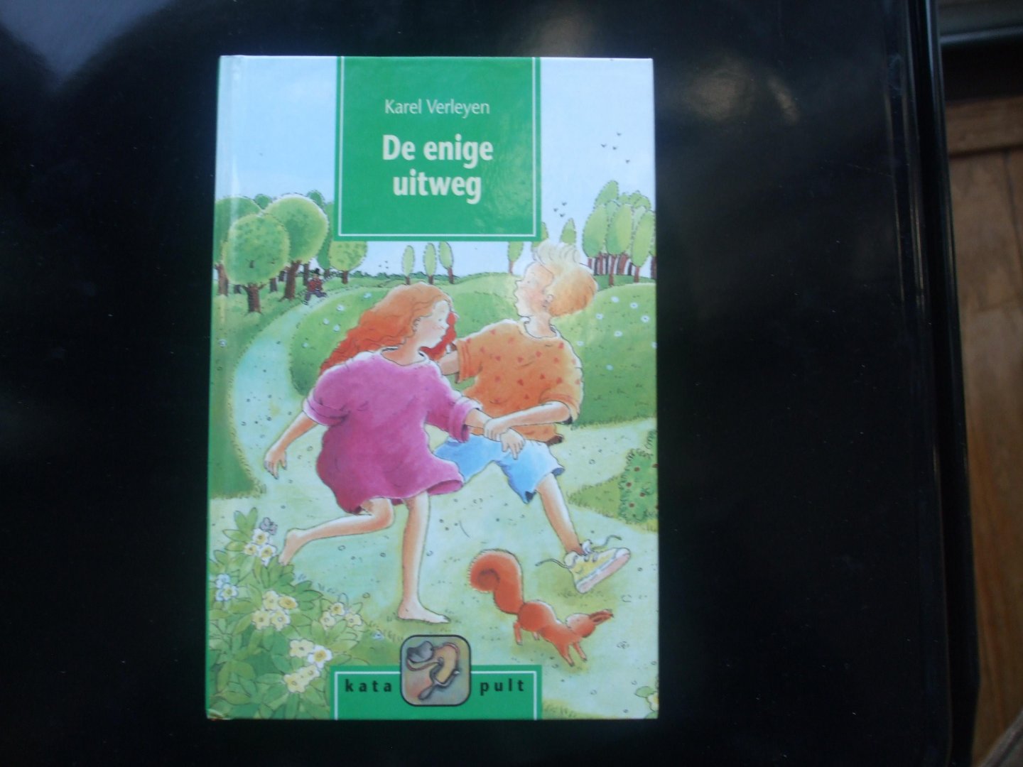 Verleyen Karel - Enige uitweg / druk 1