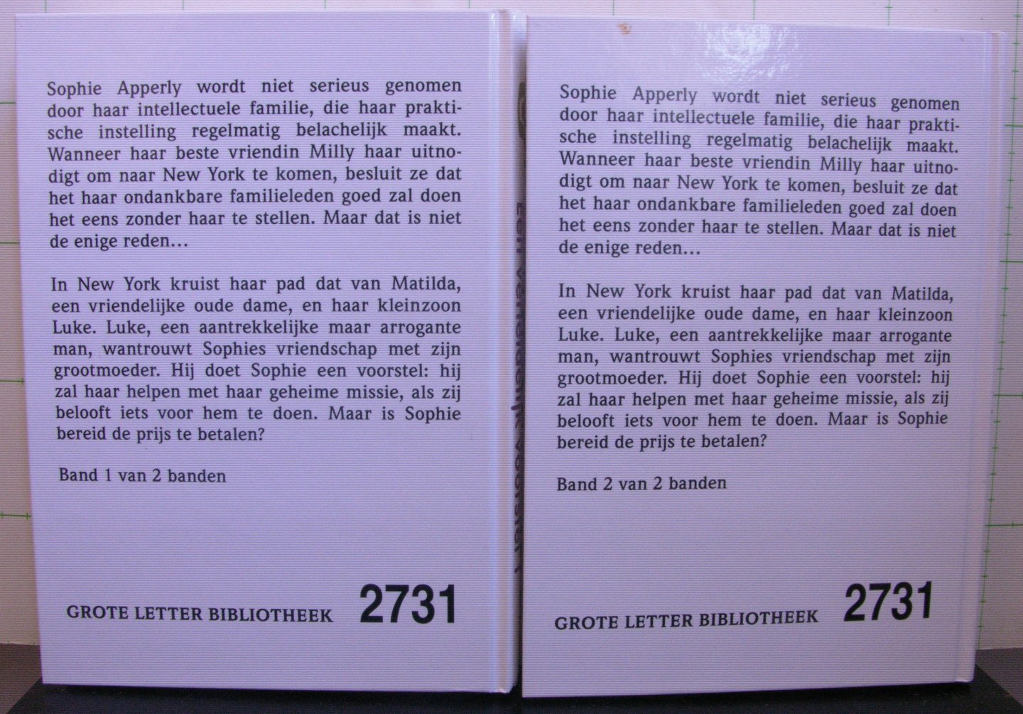 Fforde, Katie - een verleidelijk voorstel