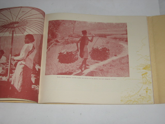 Pijl, L vd - Bandoeng en haar hoogvlakten