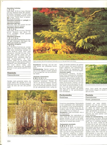 Herwig, Rob - Het grote tuin & kamer plantenboek. Toepassing en verzorging van meer dan 2000 planten