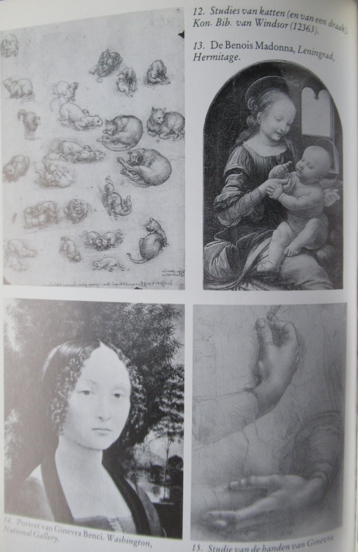 Bramly, Serge - Leonardo. De cultuur van de Renaissancer in Italie 1452 - 1519