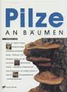 Jahn, Hermann - PILZE AN BÄUMEN - Einführung in die ökologische Gruppe der holz-abbauenden Saprophyten und Parasyten - Lebensweise, Schadwirkung und Bestimmungsmerkmale der häufigsten Pilzarten in totem Holz und lebenden Bäumen. 222 farbige Abbildungen