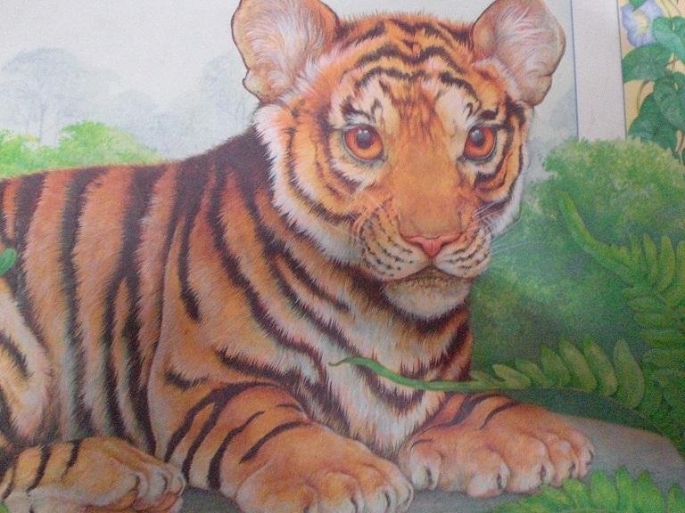 Dugald Steer Illustrated by Nicki Palin - Tale of a Tiger