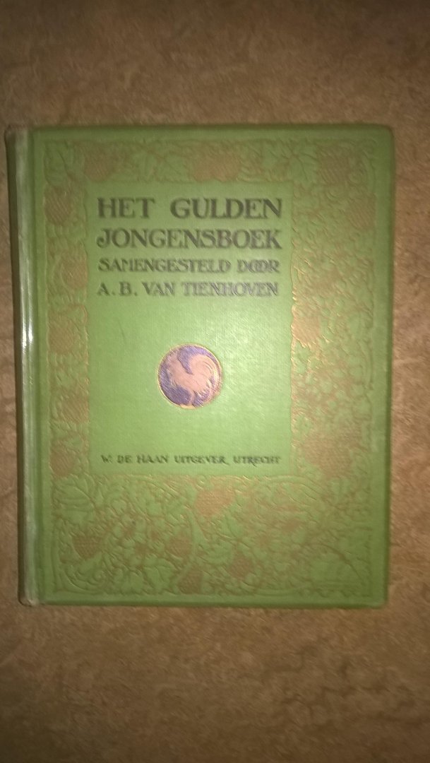 A. B van Tienhoven - het gulden jongensboek