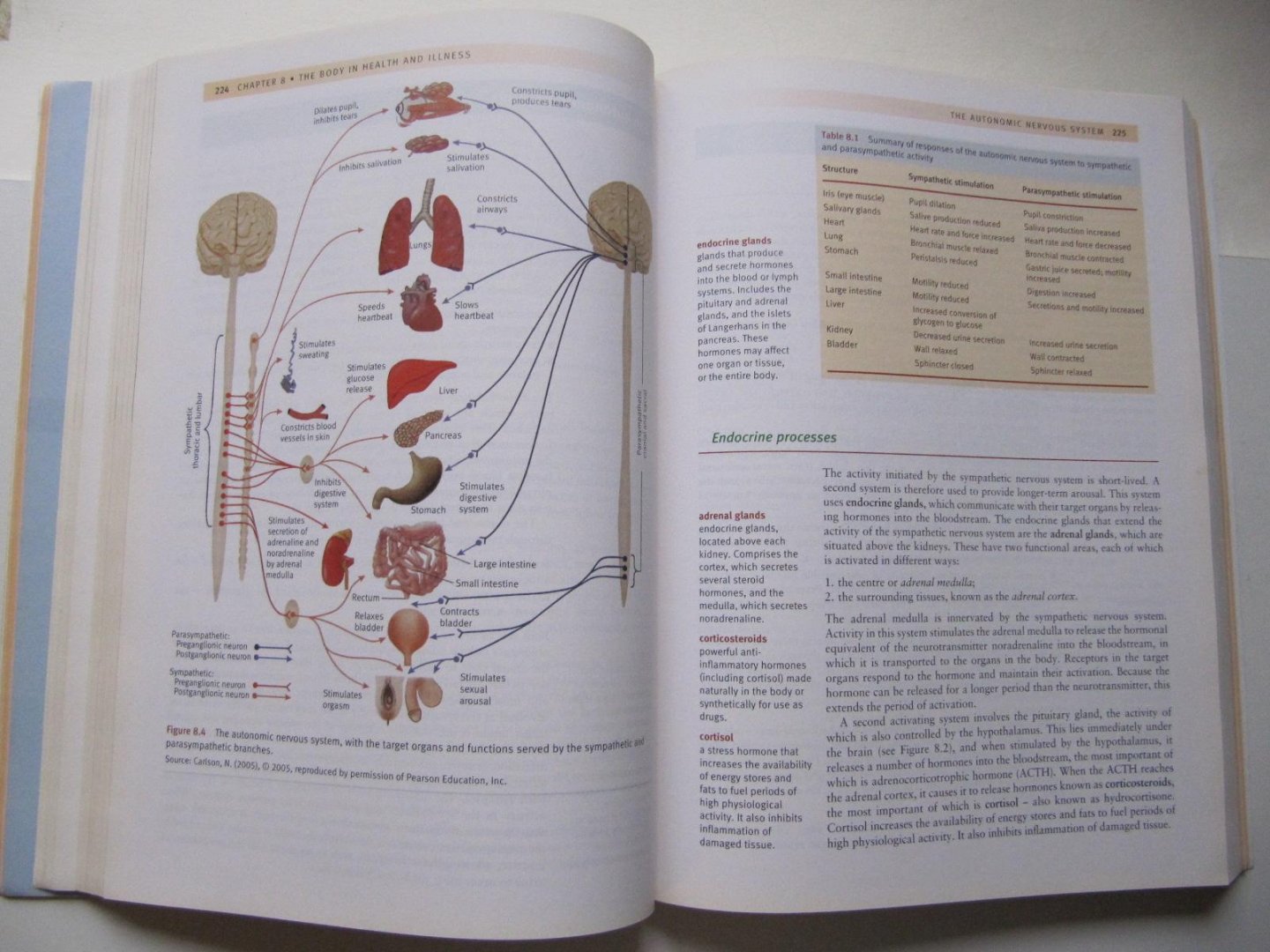 Morrison, Val -v Bennett, Paul - Introduction to Health Psychology