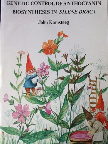 Kamsteeg, John - Genetic control of anthocyanin biosynthesis in silene dioica. Proefschrift