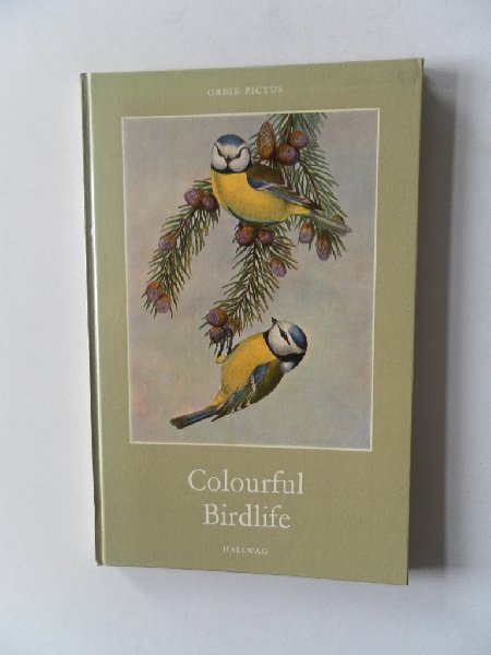 Kolb, Annette - Colourful Birdlife