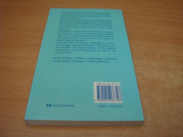 Schilder, Aleid - Dwalen naar een nieuwe tijd