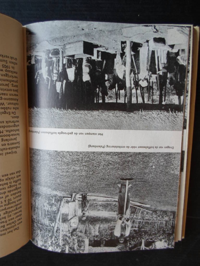 Hall, Dr.C.J.J.van - Insulinde, De inheemsche landbouw