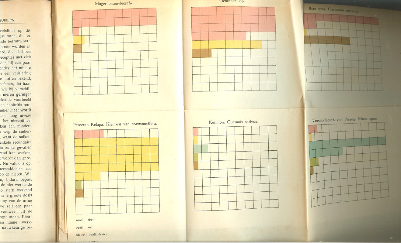 De Lange / Lichtenstein - Leerboek der tropische geneeskunde