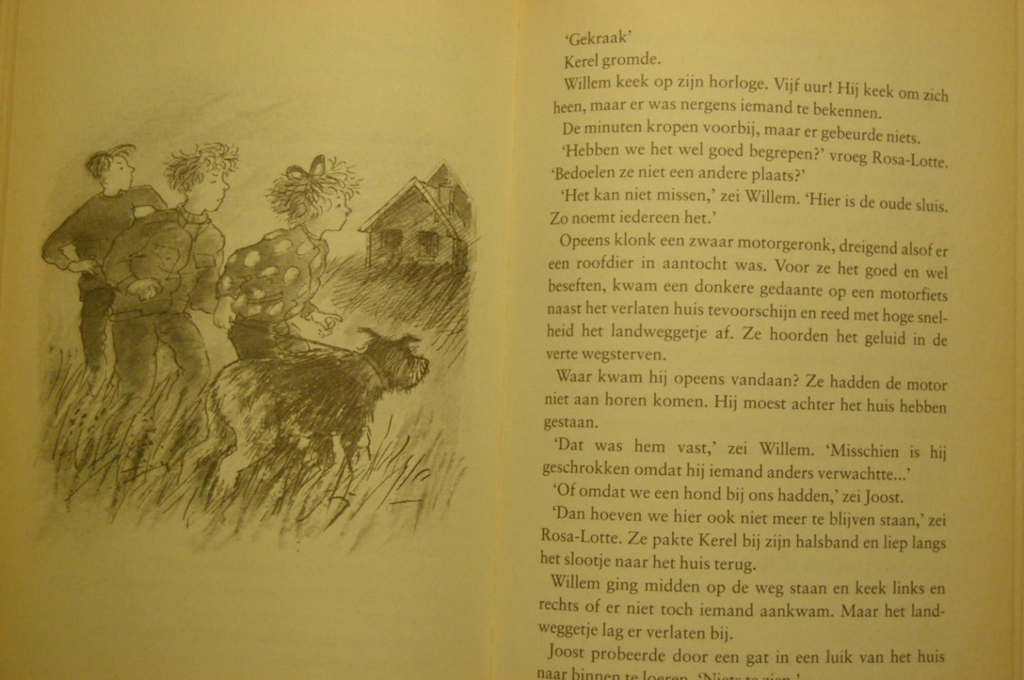 Mollema, Elisabeth - De verdwijning van Daan Bosman