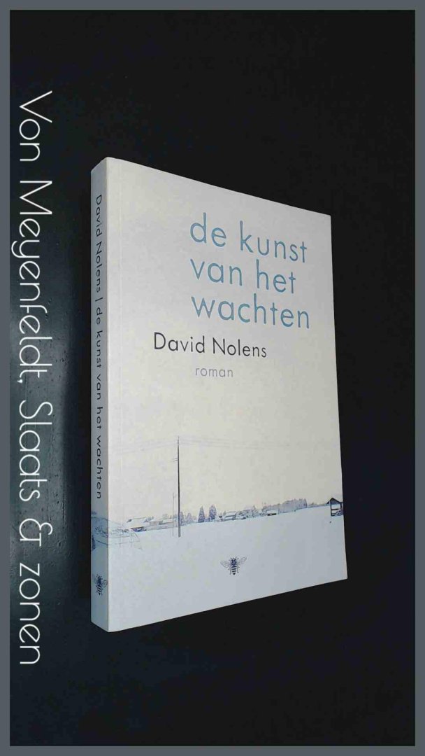 Nolens, David - De kunst van het wachten