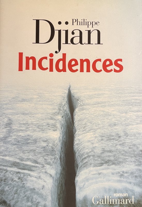 Djian, Philippe - Incidences