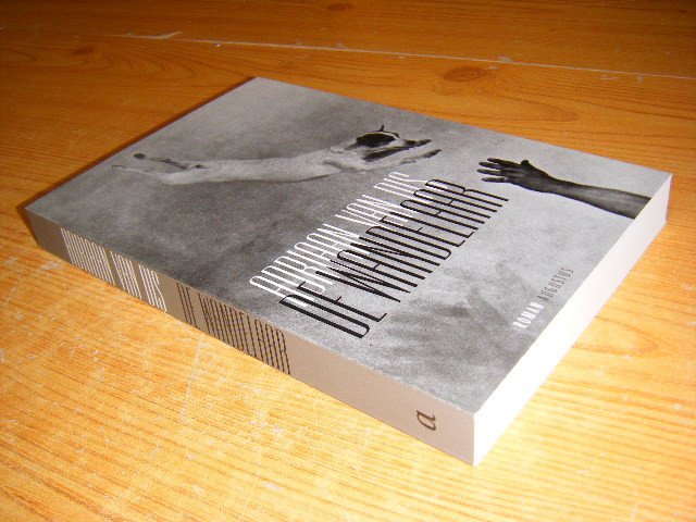 Dis, Adriaan van - De wandelaar