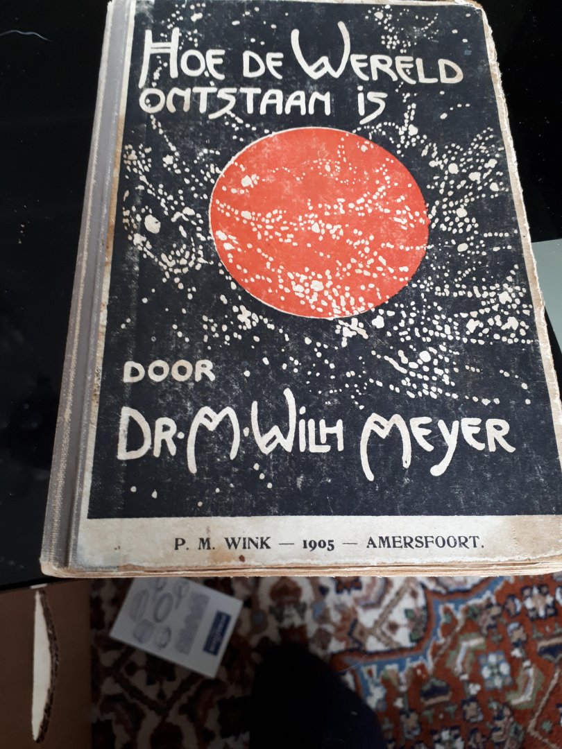 Meyer Dr M Wilh - Hoe de wereld instaan is