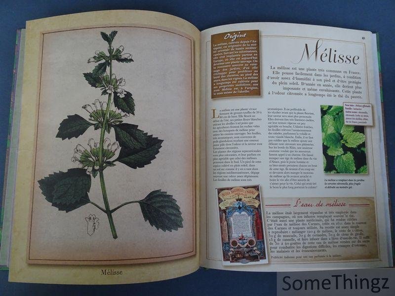 Nathalie Bucsek / Michel Viard. - Plantes aromatiques.