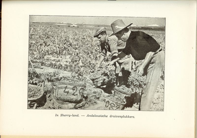 Keuls, J.P.M.  .. Oud Nederlands vice-consul te Bordeaux - Het boek van de wijn.