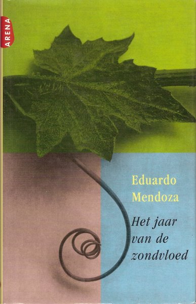Mendoza, Eduardo - Het jaar van de zondvloed