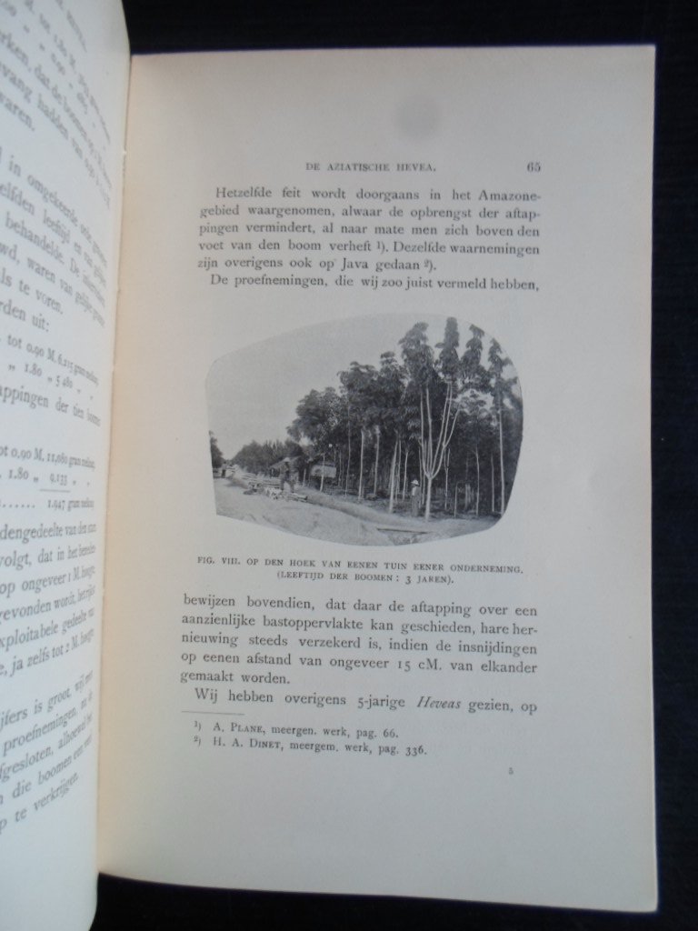 Collet, Octave J.A. - De Aziatische Hevea [koffie]