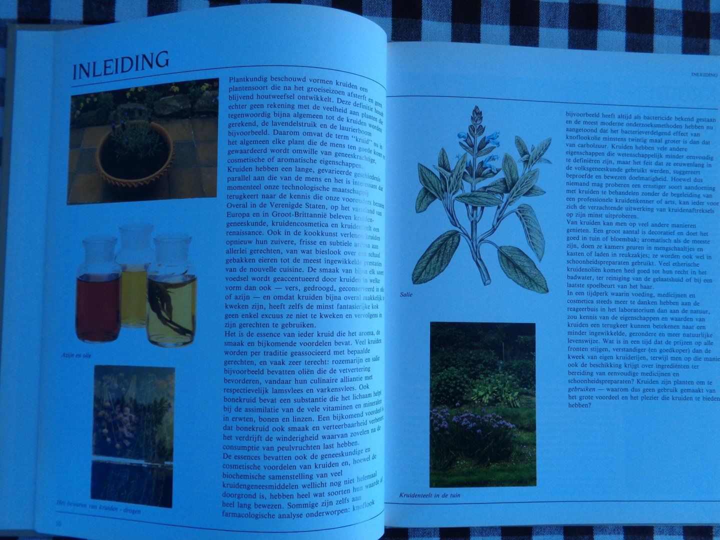 susan fleming - kruiden -herkennen kweken en gebruiken in recepten