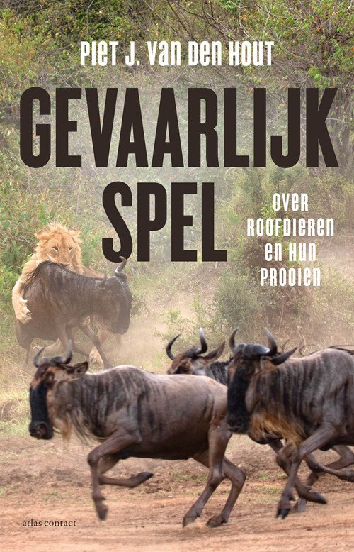 Piet J. van den Hout - Gevaarlijk spel