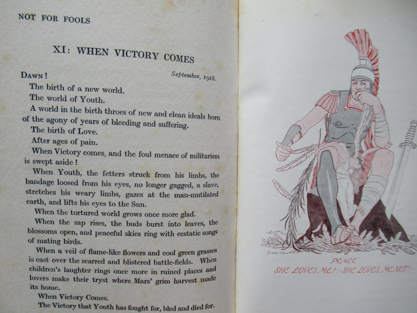 Bradley, H. Dennis - Not for fools