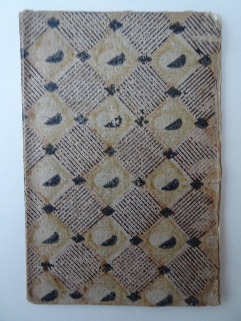 Kraijesteijn, Hendrik. - Het uitstapje naar den Abeele. Blijspel met zang in één bedrijf.