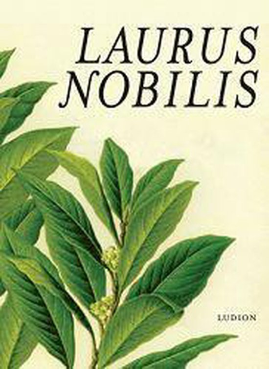  - Laurus Nobilis
