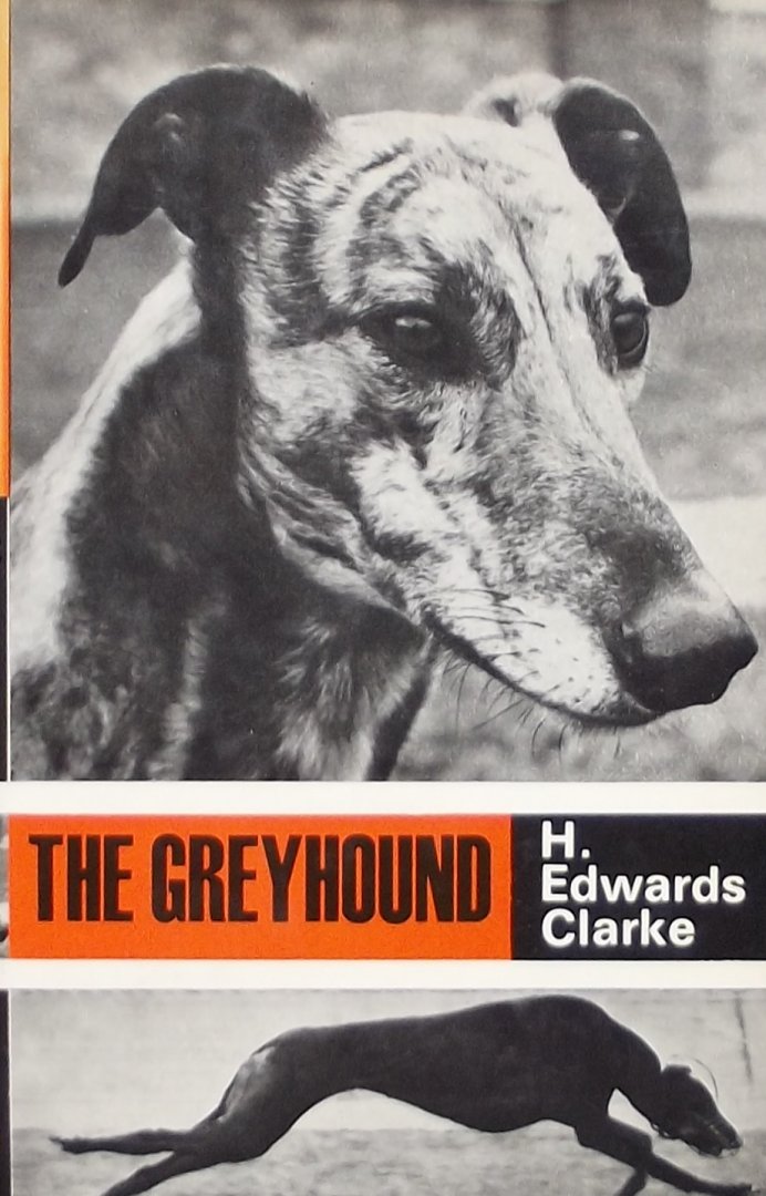 Clarke, H. Edwards. - The Greyhound.