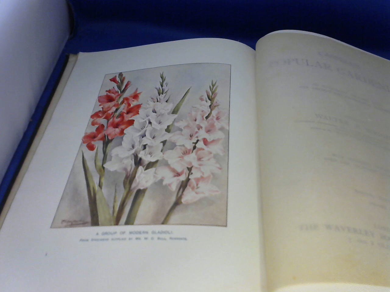 Wright Walter P. (edited by) - Cassell's popular gardening. an illustrated cultural guide for amateur and professional Gardeners. 4 volumes, special edition