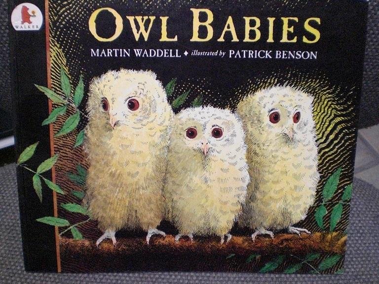 Waddell, Martin - Owl Babies