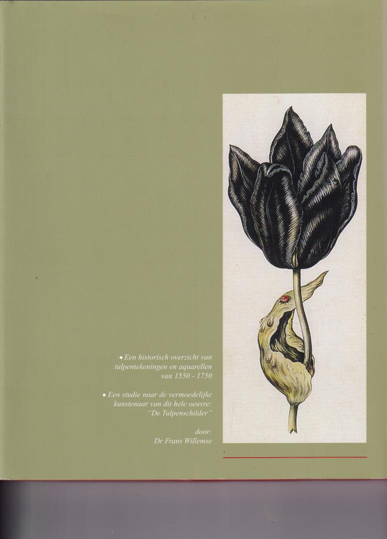 Willemse, F.R.J. - Het mysterie van de tulpenschilder