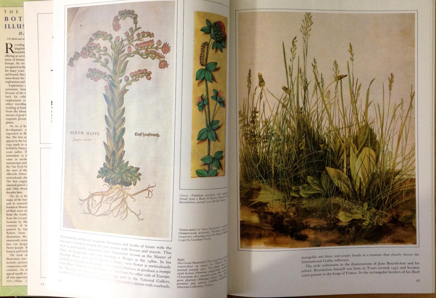 Rix, Martyn - The Art of Botanical Illustration