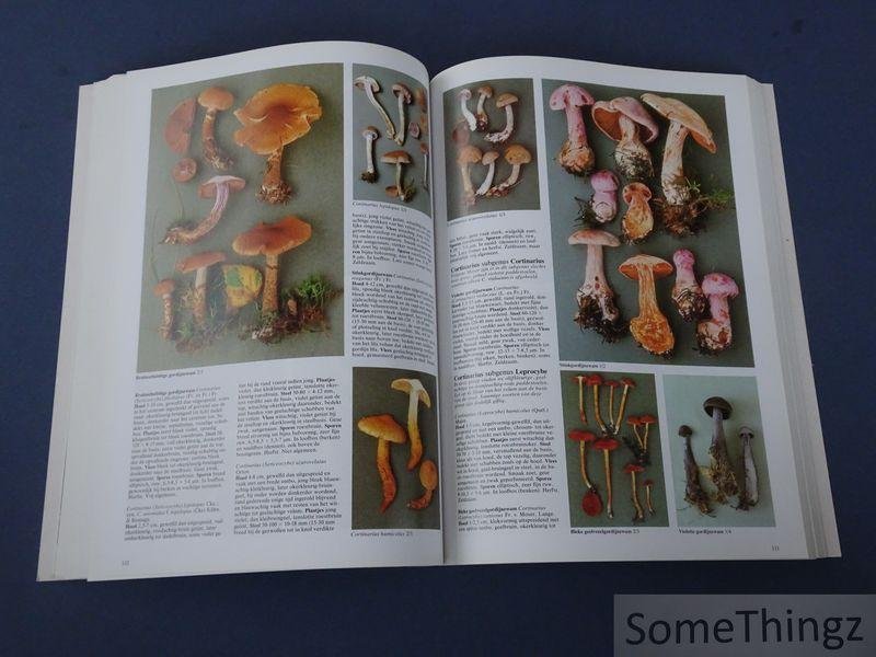 Roger Phillips, / Jasper Daams (vert.) - Paddestoelen van West-Europa meer dan 900 soorten in unieke kleurenfoto?s. [Paddenstoelen]