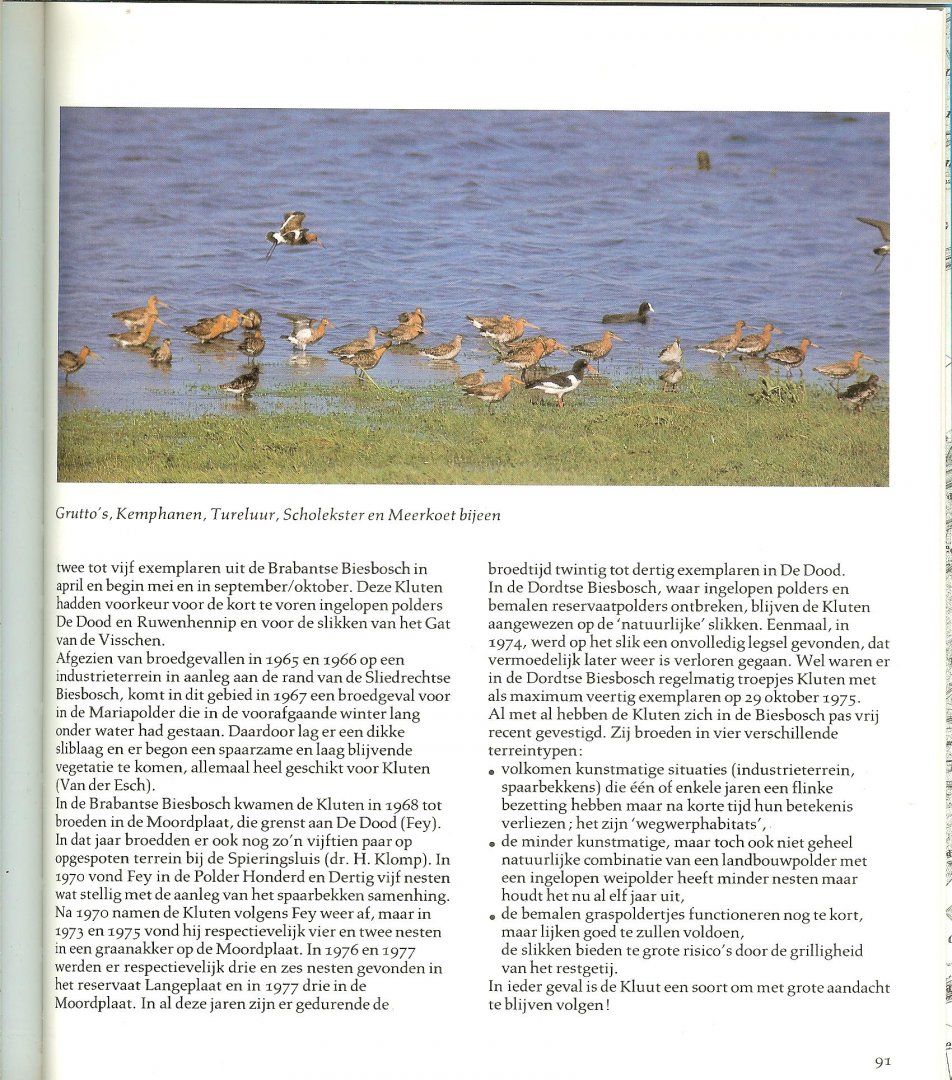 Lebret met illustraties. van Jan van der Kam, en T Libret  Herman Japin , Jos Korenkamp en Oene Moedt - Biesbosch-vogels