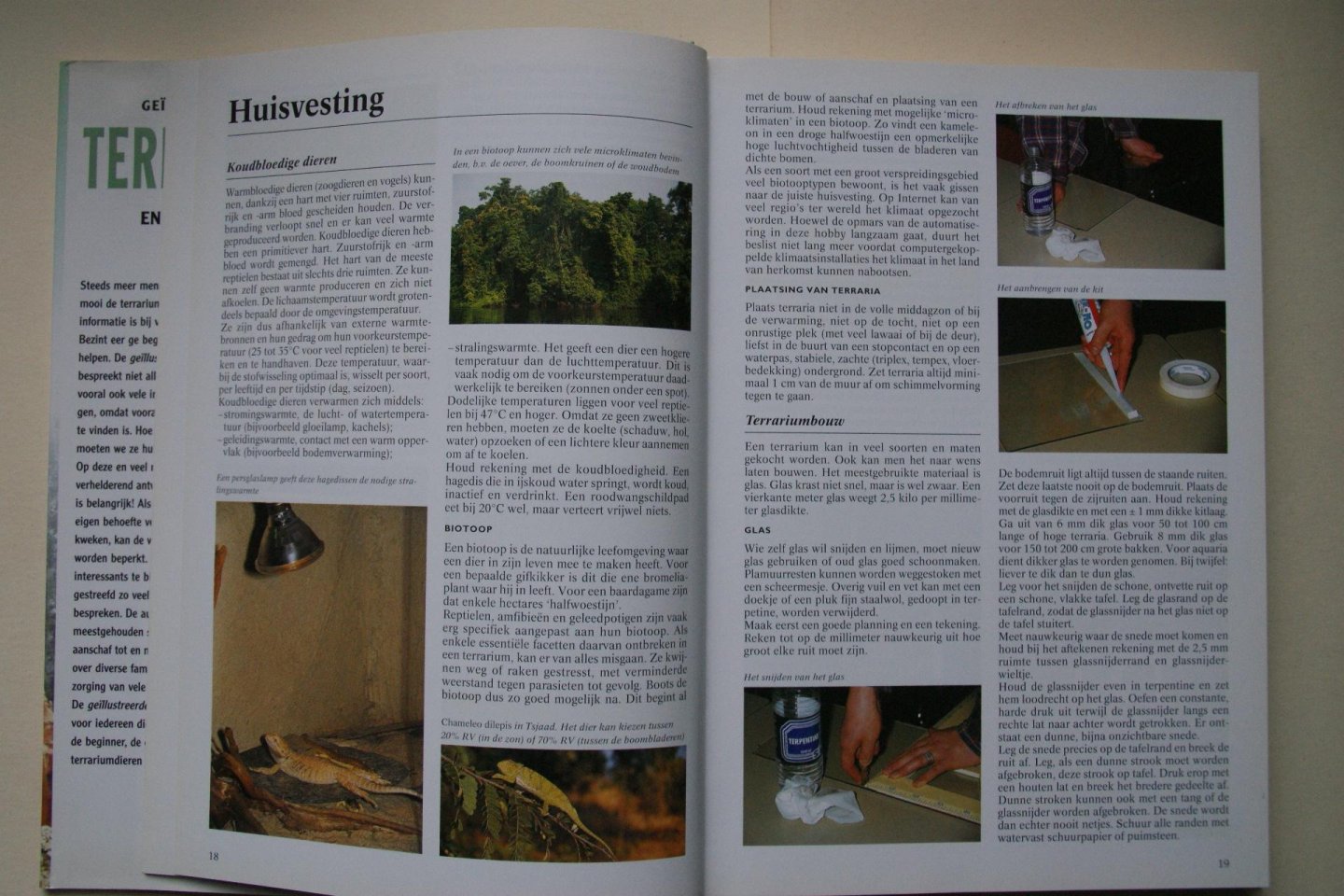 Bruins, Eugene - Geillustreerde Terrarium Encyclopedie reptielen, amfibieen, spinnen, insecten- overzichtelijk per soort gerangschikt  Alles Over VOEDING, HUISVESTING, BEHANDELING, ZIEKTEN, Zelf Kweken